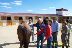 caballos, Sierra Norte, Escuela de herradores y Centro de formacion ecuestre Sierra Norte, boxes y corrales