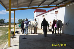 Sierra Norte, Escuela de herradores y Centro de formacion ecuestre Sierra Norte, zona de duchas para caballos