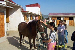 caballos, Sierra Norte, Escuela de herradores y Centro de formacion ecuestre Sierra Norte, cursos practicos