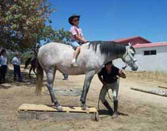 Manejo Natural del Caballo, MNC. Chico Ramirez, caballo encima de un podio de madera y montado a pelo