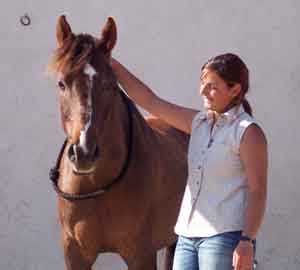 Etologia equina, Chloe B. Rola,  Seminario de estudios cientificos sobre la naturaleza del caballo